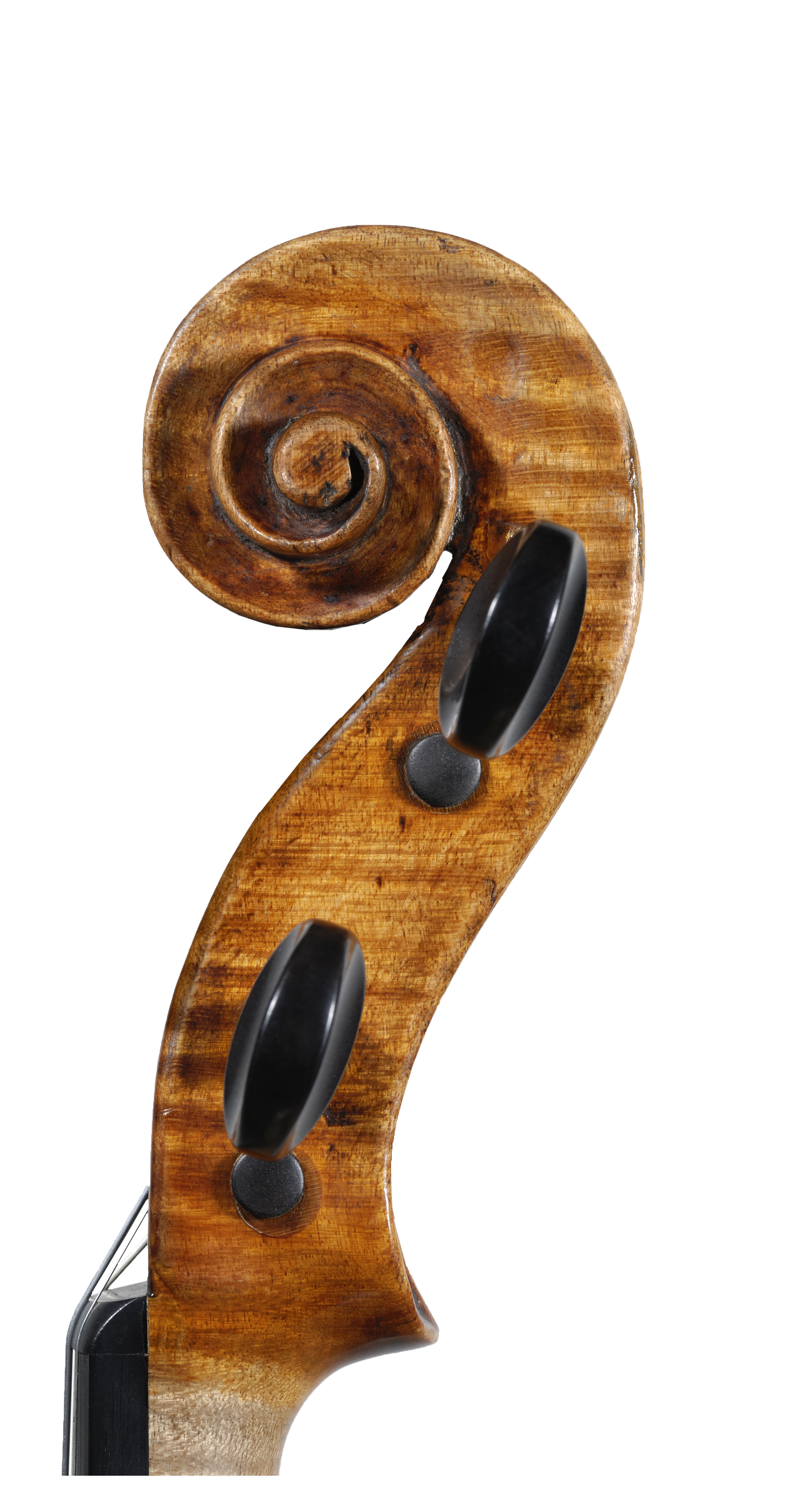 Music 楽器・音響機器 ヴィオリーノ ビオリーノ violino GDA弦セット