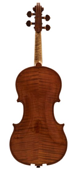 Franco Albanelli Violin Back