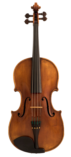 Marino Capicchioni Viola Front