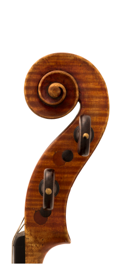 Marino Capicchioni Viola Head