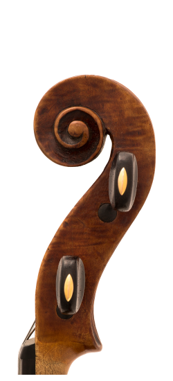 Gagliano Violin Head