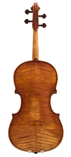 Jago Peternella Viola Back