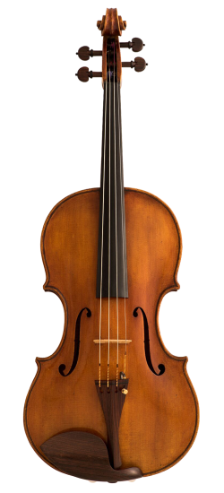 Jago Peternella Viola Front