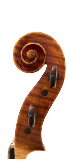 Jago Peternella Viola Head