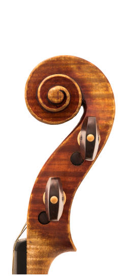 Igino Sderci Violin Head