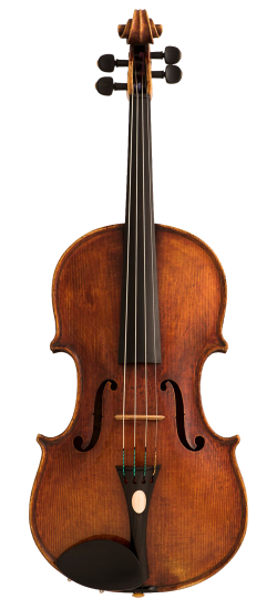 Varagnolo Viola Front