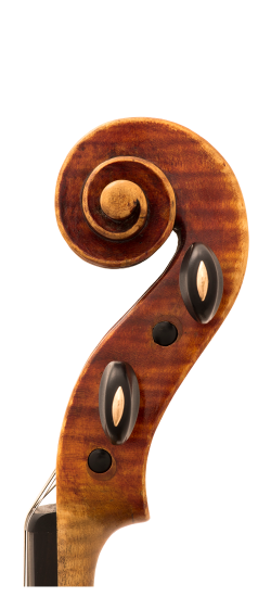 Varagnolo Viola Head