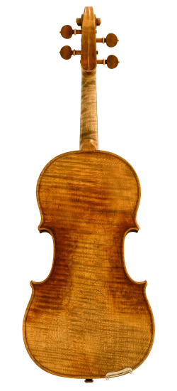 Andrea Varazzani Violin Back