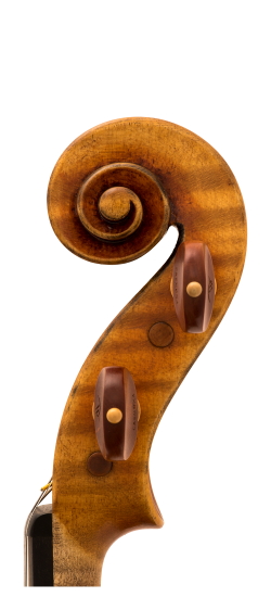 Andrea Varazzani Violin Head